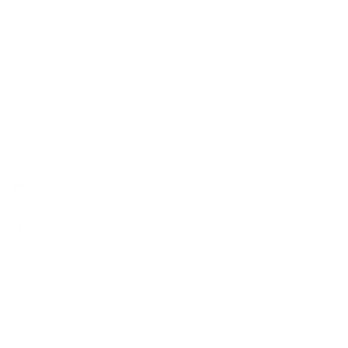 SFS, logo | Bonne Nouvelle, Agence Communication, Valence (Drôme)