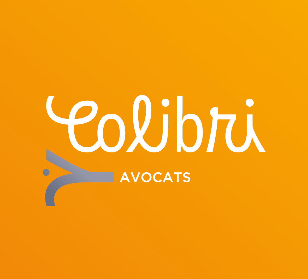Colibri Avocats | Identité Visuelle | Logo & Charte Graphique | Bonne Nouvelle, Agence de communication Valence